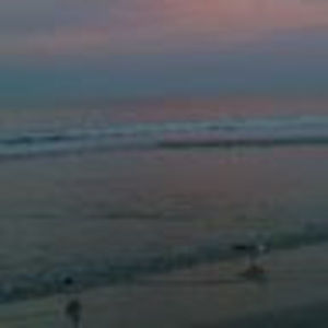 Meet your Posher, Dena